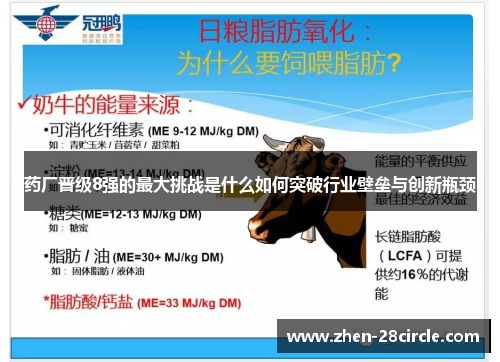药厂晋级8强的最大挑战是什么如何突破行业壁垒与创新瓶颈