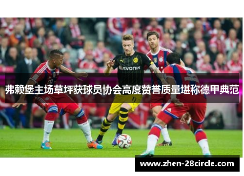 弗赖堡主场草坪获球员协会高度赞誉质量堪称德甲典范